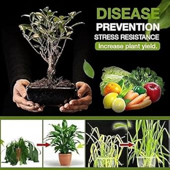 🌱 Soil Activator – Plant's Best Friend (BUY 1 GET 1 FREE ) Pack of 2